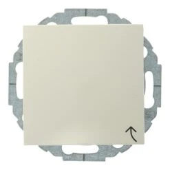 Berker S.1 Enkel Geaard Stopcontact Met Afdekplaat Crème