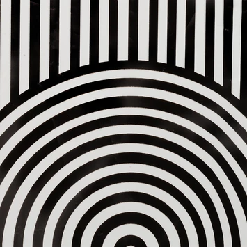 Sealskin Douchegordijn Brave 180x200cm Zwart/wit 5 Sealskin Douchegordijn Brave 180x200cm Zwart/wit - Afbeelding 5