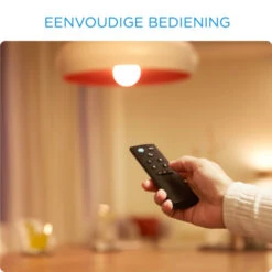 WiZ Remote Control GenII EU -InterieurKunst Verkoopwinkel 123 1672