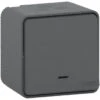 Schneider Electric Mureva Styl Wissel Opbouw Controle Schakelaar IP55 Antraciet
