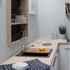 Hansgrohe Keukenkraan Focus M43 Met Hendel Chroom 100 -InterieurKunst Verkoopwinkel 123 18744