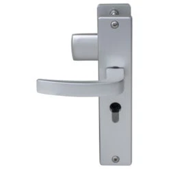 NEMEF Veiligheidsbeslag LS Met Kerntrekbeveiliging SKG 3-sterren Voordeur 55 Mm -InterieurKunst Verkoopwinkel 123 19875