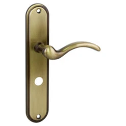 GAMMA Deurkrukset Pharos Langschild Vrij-bezet 63/8mm Messing Antiek