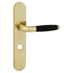 GAMMA Deurkrukset Donau Langschild Vrij-bezet 63/8mm Messing Glans