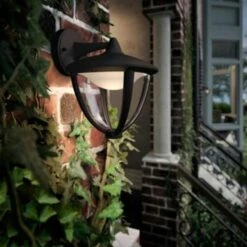 Philips Robin Wit Licht Zwart Hangend -InterieurKunst Verkoopwinkel 123 23399