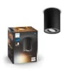 Philips Hue Pillar Opbouwspot 1x5W Zwart Incl. Switch En Bluetooth