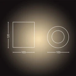 Philips Hue Pillar Opbouwspot 1x5W Wit Excl. Switch En Bluetooth -InterieurKunst Verkoopwinkel 123 23425