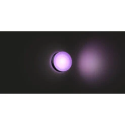 Philips Hue Outdoor Buitenlamp Daylo Zwart -InterieurKunst Verkoopwinkel 123 23665