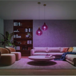 Philips Hue White And Color Ambiance E27 10,5W -InterieurKunst Verkoopwinkel 123 23741