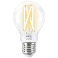 WiZ Connected LED Peer E27 60W Filament Helder Koel Tot Warmwit Licht Dimbaar