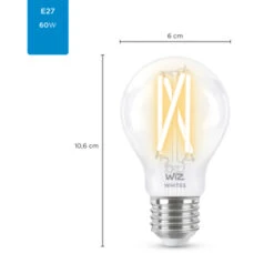WiZ Connected LED Peer E27 60W Filament Helder Koel Tot Warmwit Licht Dimbaar -InterieurKunst Verkoopwinkel 123 23770