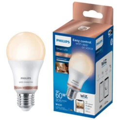 Philips Smart LED Lamp -InterieurKunst Verkoopwinkel 123 23787