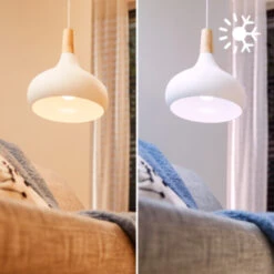 Philips Smart LED Lamp -InterieurKunst Verkoopwinkel 123 23789