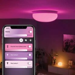 Philips Hue Plafondlamp Flourish -InterieurKunst Verkoopwinkel 123 23906