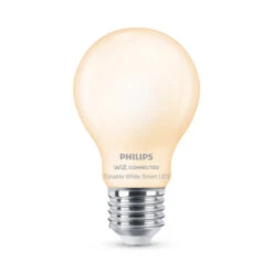 Philips Smart E27-fitting 60 Watt