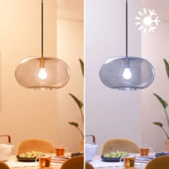 Philips Smart E27-fitting 60 Watt -InterieurKunst Verkoopwinkel 123 23976