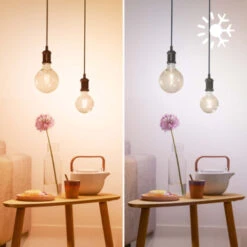 Philips Smart Led Globe E27 60 Watt -InterieurKunst Verkoopwinkel 123 24022