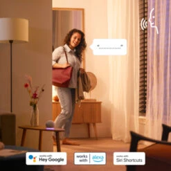 Philips Smart Led Globe E27 60 Watt -InterieurKunst Verkoopwinkel 123 24023