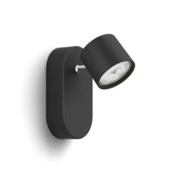 Philips Opbouwspot Star Zwart