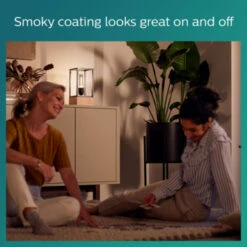 Philips LED Buislamp E27 11W Filament Smoky Niet Dimbaar -InterieurKunst Verkoopwinkel 123 24053