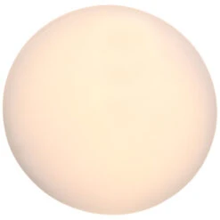 GAMMA LED Plafondlamp Yukon Met 3 Step Dim Functie