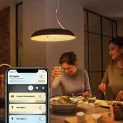 Philips Hue Amaze Hanglamp 1x39W Zwart Incl. Switch En Bluetooth -InterieurKunst Verkoopwinkel 123 24230
