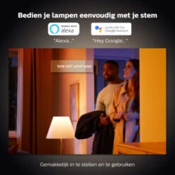 Philips Hue Opbouwspot Argenta Aluminium -InterieurKunst Verkoopwinkel 123 24275