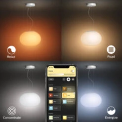 Philips Hue Hanglamp Flourish -InterieurKunst Verkoopwinkel 123 24582