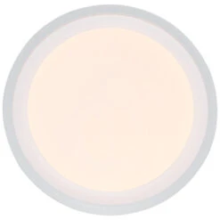 GAMMA Plafondlamp Charles Led 12W Warm Wit -InterieurKunst Verkoopwinkel 123 24746