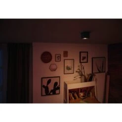 Philips Opbouwspot MyLiving Box LED Zwart 4.5W -InterieurKunst Verkoopwinkel 123 24912