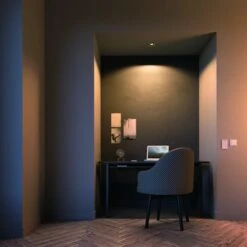 Philips Hue White Ambiance Milliskin Inbouwspot -InterieurKunst Verkoopwinkel 123 24974