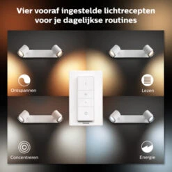 Philips Hue Adore 2x5W Wit Badkamer Balkspot Incl. Switch En Bluetooth 8 Philips Hue Adore 2x5W Wit Badkamer Balkspot Incl. Switch En Bluetooth -InterieurKunst Verkoopwinkel 123 25081