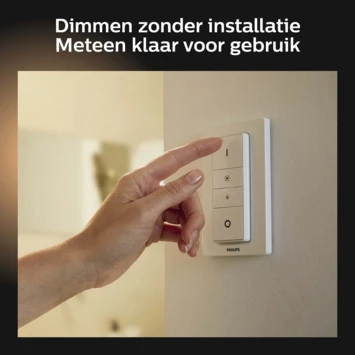 Philips Hue Adore 2x5W Wit Badkamer Balkspot Incl. Switch En Bluetooth 5 Philips Hue Adore 2x5W Wit Badkamer Balkspot Incl. Switch En Bluetooth - Afbeelding 5