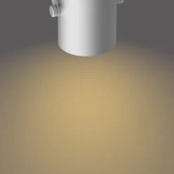 Philips Opbouwspot Byre 2-lichts Zilver -InterieurKunst Verkoopwinkel 123 25231