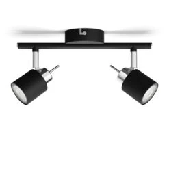 Philips Meranti Opbouwspot Zwart 2x 35W