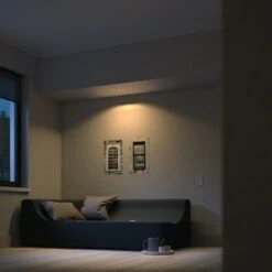 Philips Hue White Ambiance Milliskin Inbouwspot Incl. Switch -InterieurKunst Verkoopwinkel 123 25586