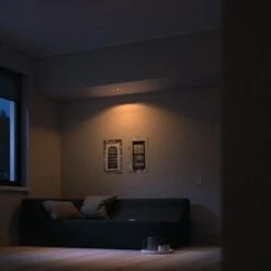 Philips Hue White Ambiance Milliskin Inbouwspot Incl. Switch -InterieurKunst Verkoopwinkel 123 25587