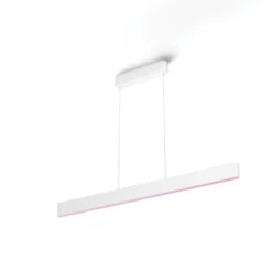 Philips Hue Hanglamp Ensis -InterieurKunst Verkoopwinkel 123 25774