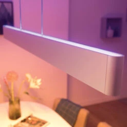 Philips Hue Hanglamp Ensis -InterieurKunst Verkoopwinkel 123 25776
