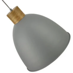 GAMMA Hanglamp Dries Donkergrijs -InterieurKunst Verkoopwinkel 123 25834