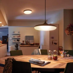 Philips Hue Cher Hanglamp 1x39W Zwart Incl. Switch En Bluetooth -InterieurKunst Verkoopwinkel 123 25844