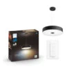 Philips Hue Fair Hanglamp 1x39W Zwart Incl. Switch En Bluetooth