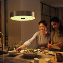 Philips Hue Fair Hanglamp 1x39W Zwart Incl. Switch En Bluetooth -InterieurKunst Verkoopwinkel 123 25927