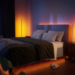 Philips Hue Signe Gradient Vloerlamp -InterieurKunst Verkoopwinkel 123 25959