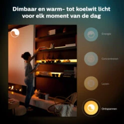 Philips Hue Lightstrip Plus 1m Ext -InterieurKunst Verkoopwinkel 123 26047
