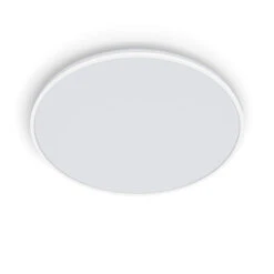 Philips Hue Plafonnière Ozziet Wit 1x36W