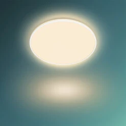 Philips Hue Plafonnière Ozziet Wit 1x36W -InterieurKunst Verkoopwinkel 123 26190