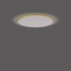 Philips Hue Plafonnière Ozziet Wit 1x36W -InterieurKunst Verkoopwinkel 123 26191