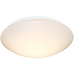 GAMMA Plafondlamp Ohio Led 12W Warm Wit -InterieurKunst Verkoopwinkel 123 26237