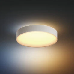 Philips Hue Plafondlamp Enrave Wit 38 Cm -InterieurKunst Verkoopwinkel 123 26245